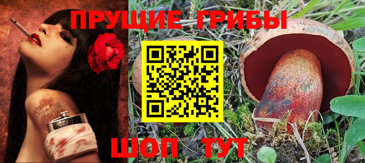 Псилоцибиновые грибы Psilocybine cubensis Дербент