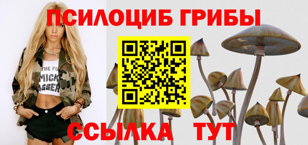 Галлюциногенные грибы прущие грибы  Вход с VPN  Дербент 